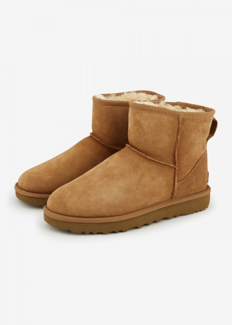 어그 여성 클래식 미니 II 체스넛 부츠 1016222 CHESTNUT